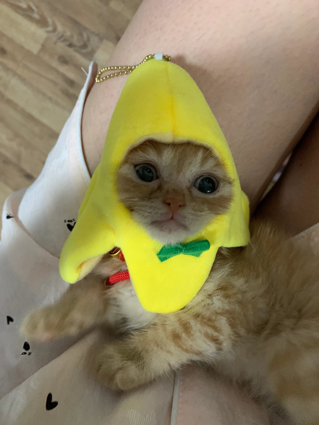 Dailypets Banana Cat Costume with Soft Lightweight Fabric and Green Bow Tie