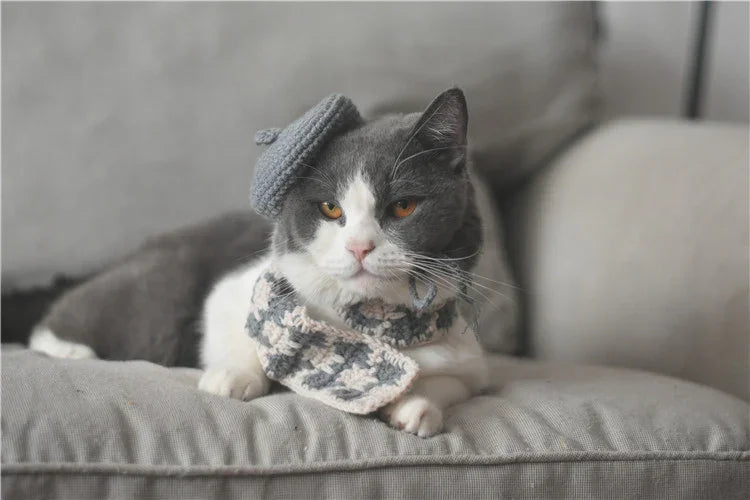 Dailypets Artist Beret and Plaid Scarf Set for Stylish Indoor Cats