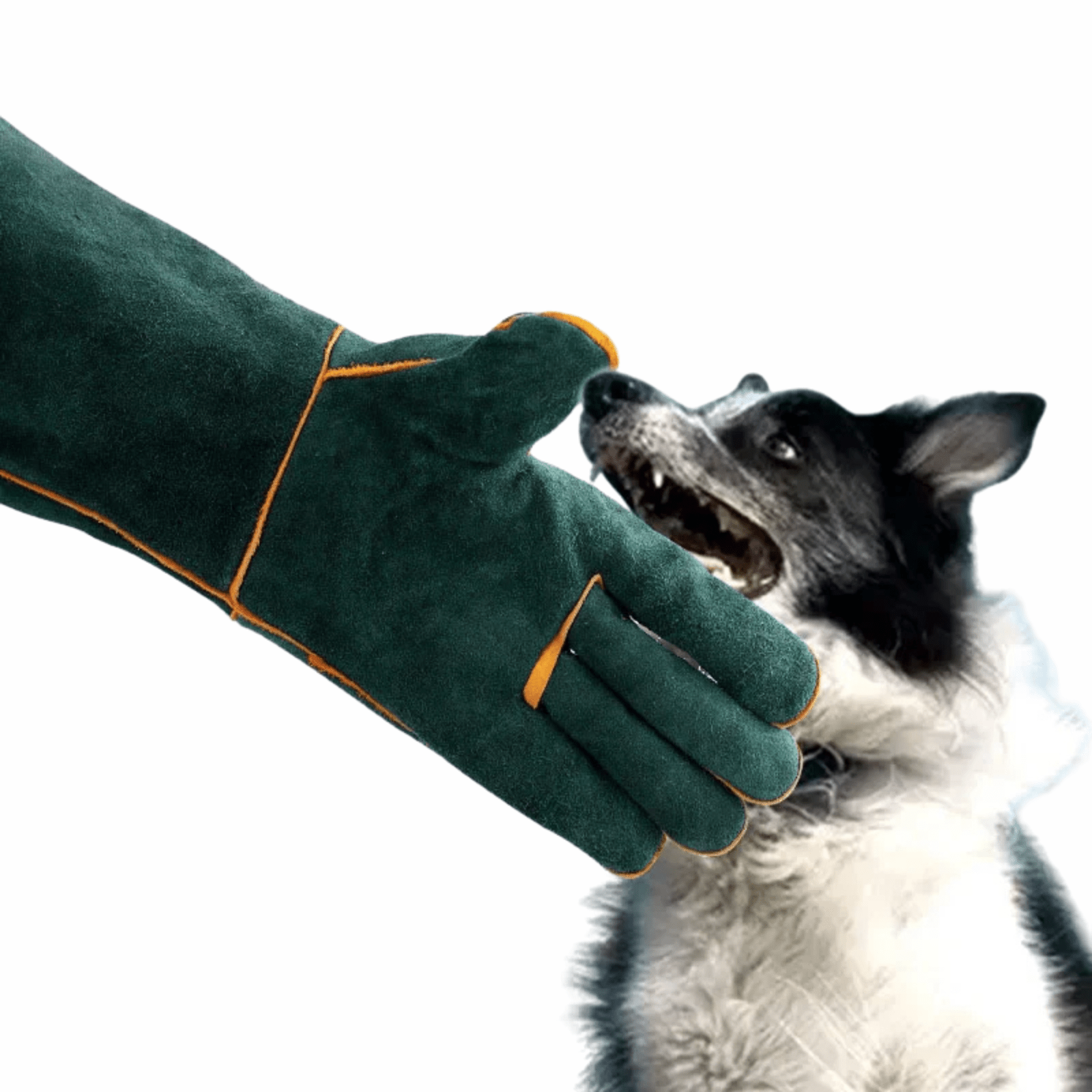 Dailypets Bite-Resistant Pet Grooming Gloves for Safe Handling and Everyday Pet Care