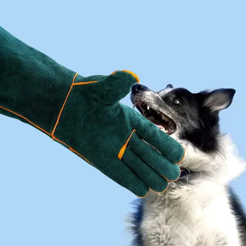 Dailypets Bite-Resistant Pet Grooming Gloves for Safe Handling and Everyday Pet Care