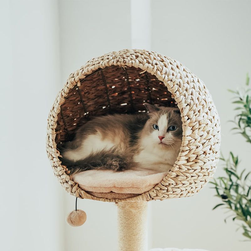 Dailypets Cat Tree Multi Level Rattan Cat Tree for Play and Rest