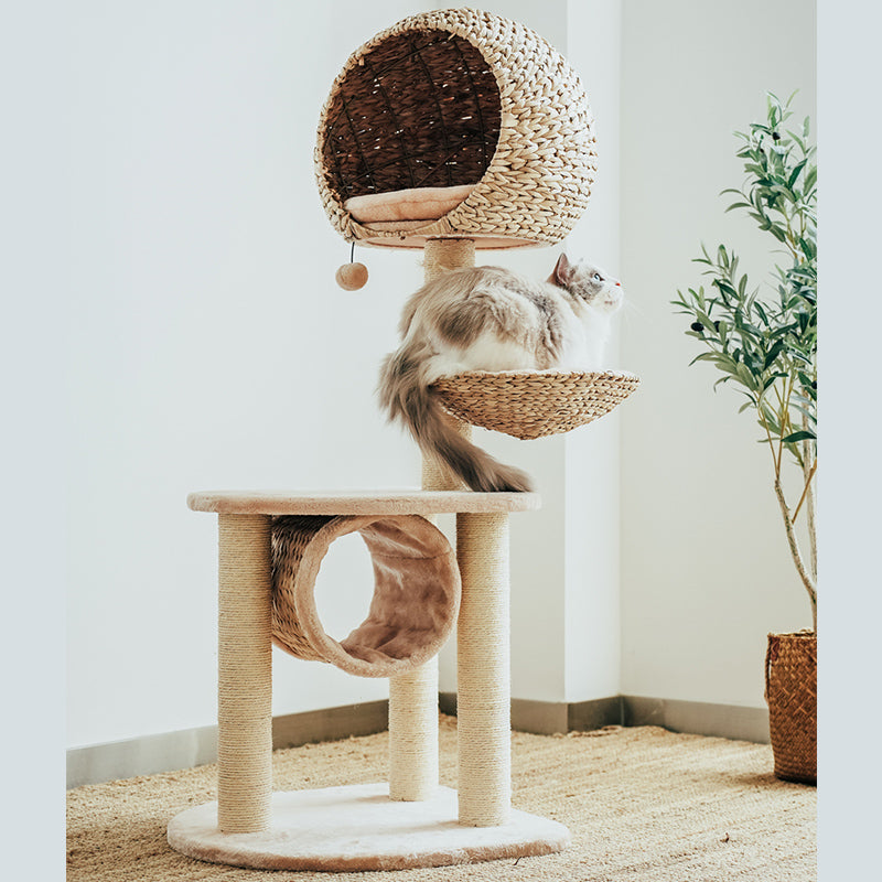 Dailypets Cat Tree Multi Level Rattan Cat Tree for Play and Rest