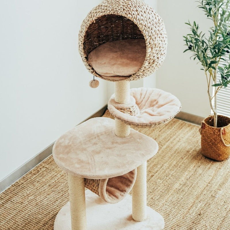 Dailypets Cat Tree Multi Level Rattan Cat Tree for Play and Rest