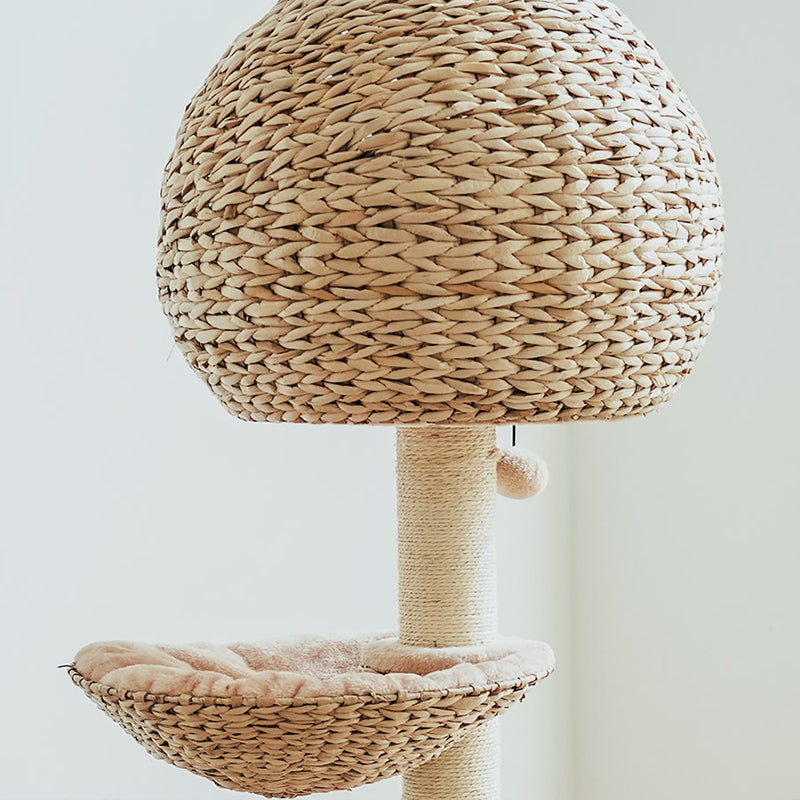 Dailypets Cat Tree Multi Level Rattan Cat Tree for Play and Rest