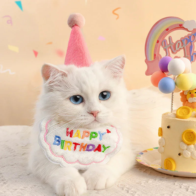 Dailypets Pet Birthday 7-Piece Party Set with Hat, Collar and Decorations