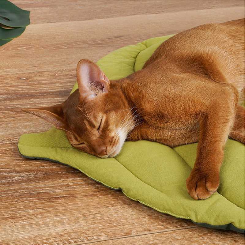 Dailypets Nature-Inspired Cat Resting Mat