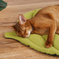 Dailypets Nature-Inspired Cat Resting Mat