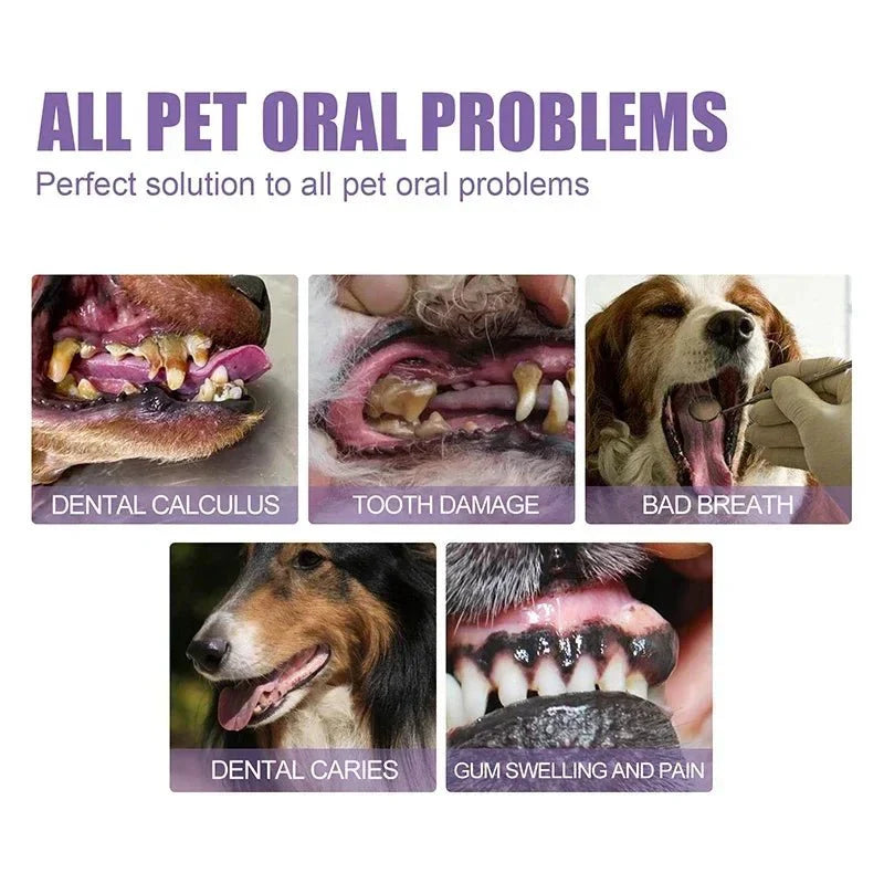 Dailypets Natural Pet Dental Care Pen for Dogs and Cats with Fresh Breath Formula