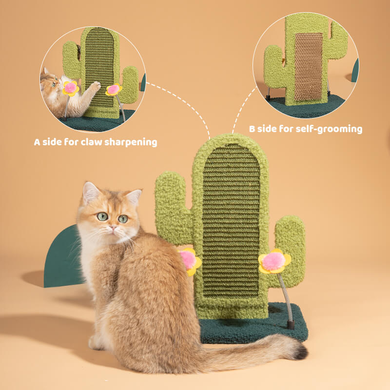 Dailypets Cat Scratcher Blind Box Assorted Scratch Toy Surprise