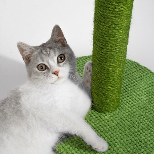 Dailypets Cactus Cat Scratcher – Decorative Sisal Scratching Post with Stable Base