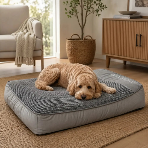 Dailypets Calming Pet Mattress, Soft Dog Cushion Bed for Indoor Use