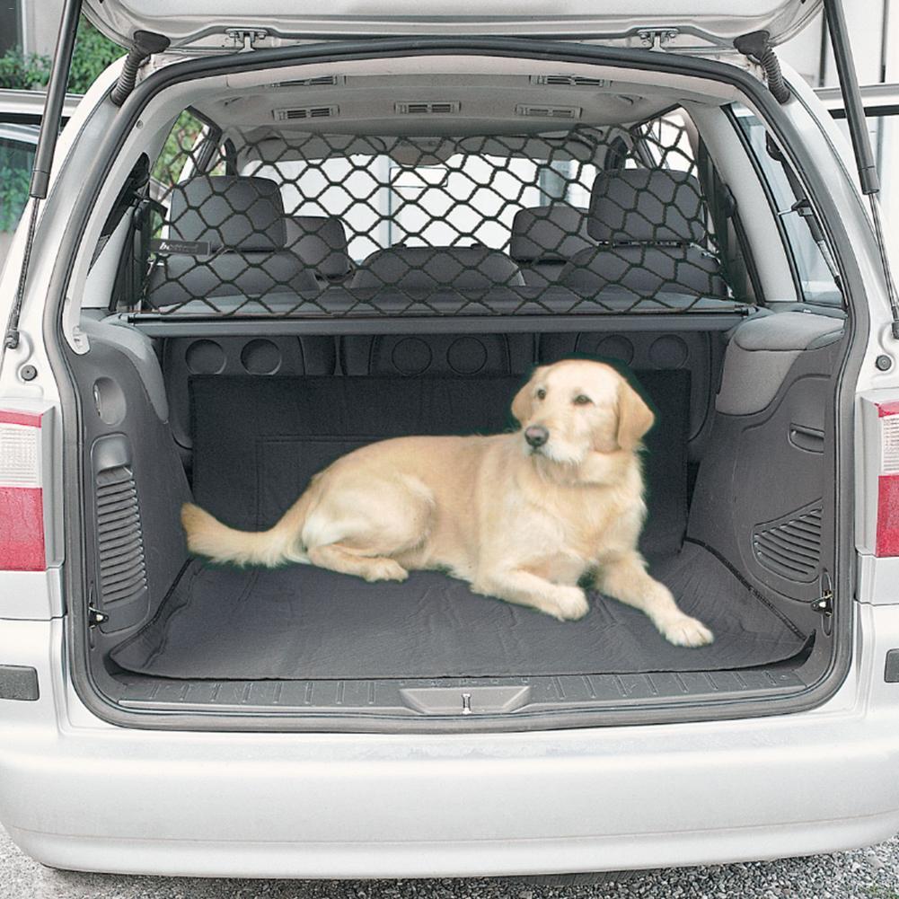 Dailypets Dog Car Safety Net, Adjustable Backseat Isolation Barrier