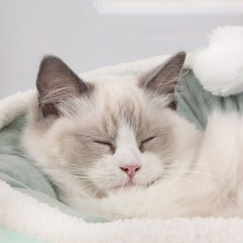 Dailypets Soft Cat Hammock Bed – Suspended Cozy Nest with Clips
