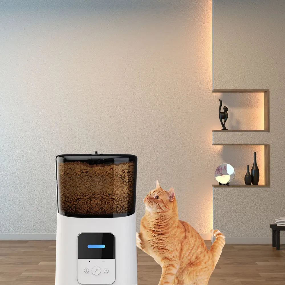 Dailypets Pet Food & Water Station Bundle for Daily Feeding Routines