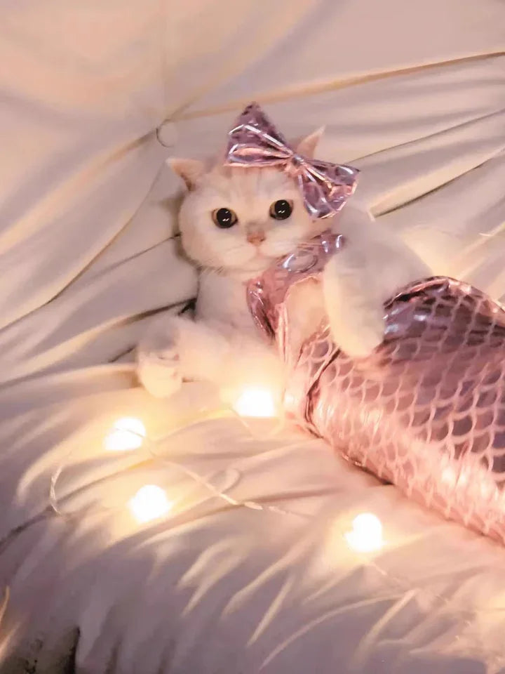 Dailypets Mermaid Cat Costume with Fish Scale Design and Matching Hair Bow