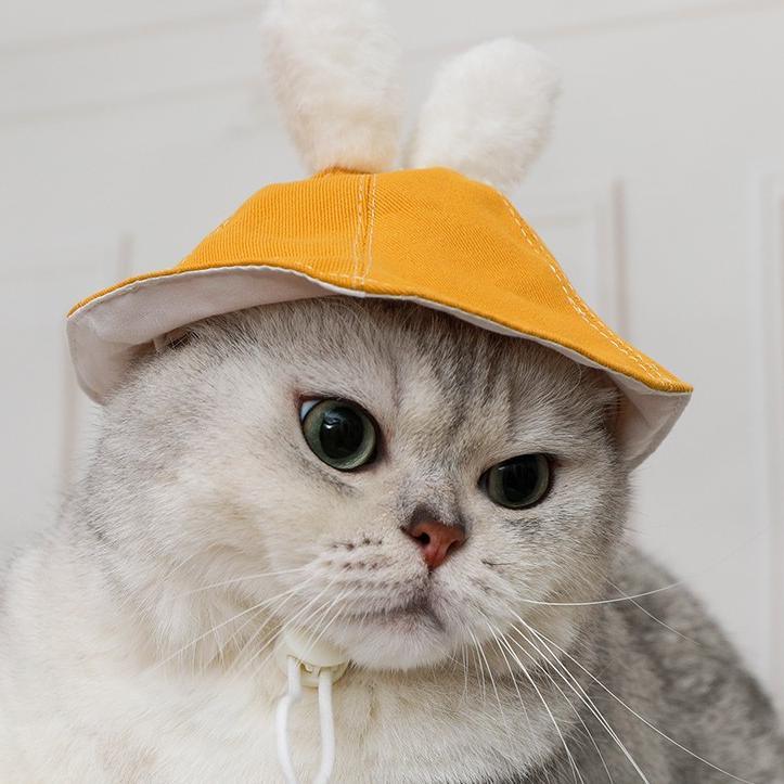 Dailypets Denim Rabbit Ear Cat Hat with Adjustable Drawstring for Photo Sessions