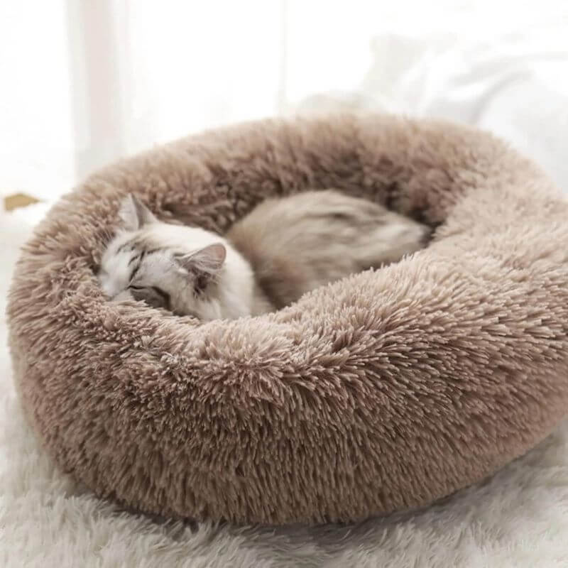Dailypets Fluffy Cat Bed, Raised Rim Round Bed for Daily Comfort