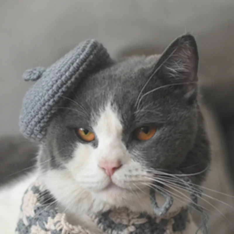 Dailypets Artist Beret and Plaid Scarf Set for Stylish Indoor Cats