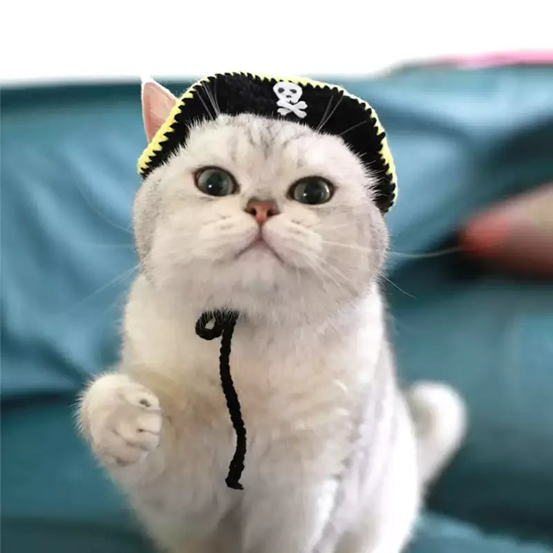 Dailypets Pirate Cat Hat with Skull Emblem for Photos and Costume Parties