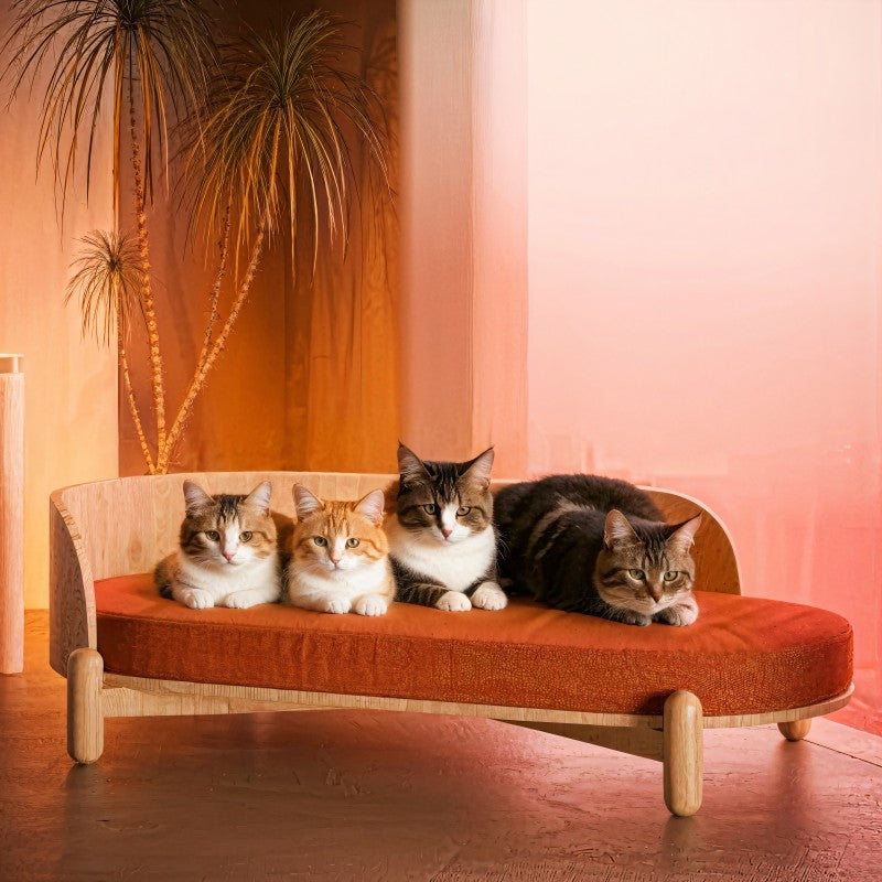 Dailypets Elevated Cat Sofa with Curved Wooden Backrest