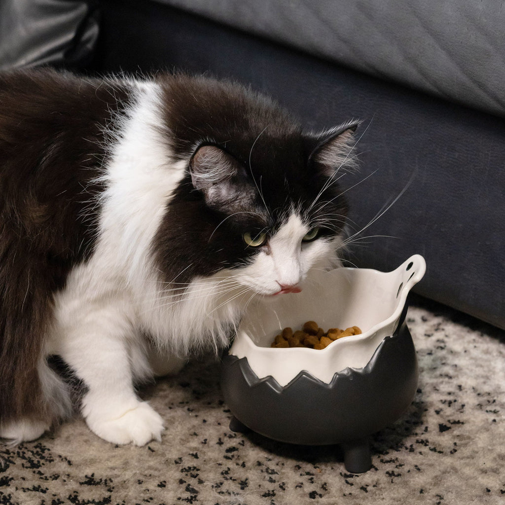 Dailypets Ceramic Cat Bowl Gothic Ghost Pet Food Bowl