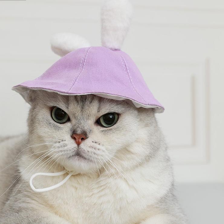 Dailypets Denim Rabbit Ear Cat Hat with Adjustable Drawstring for Photo Sessions