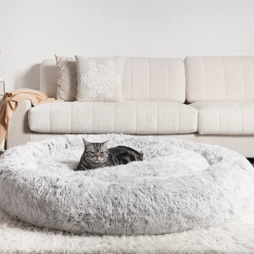 Dailypets Fluffy Cat Bed, Raised Rim Round Bed for Daily Comfort