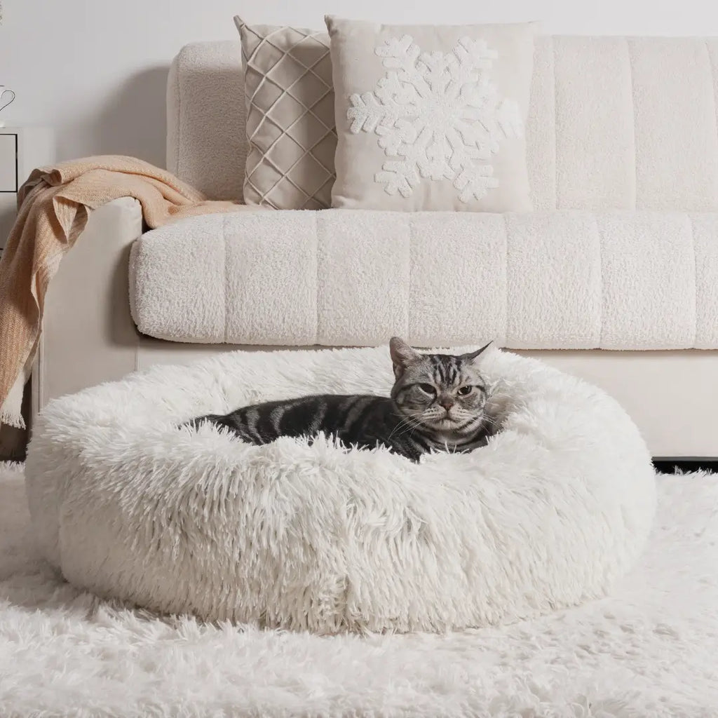 Dailypets Fluffy Cat Bed, Raised Rim Round Bed for Daily Comfort