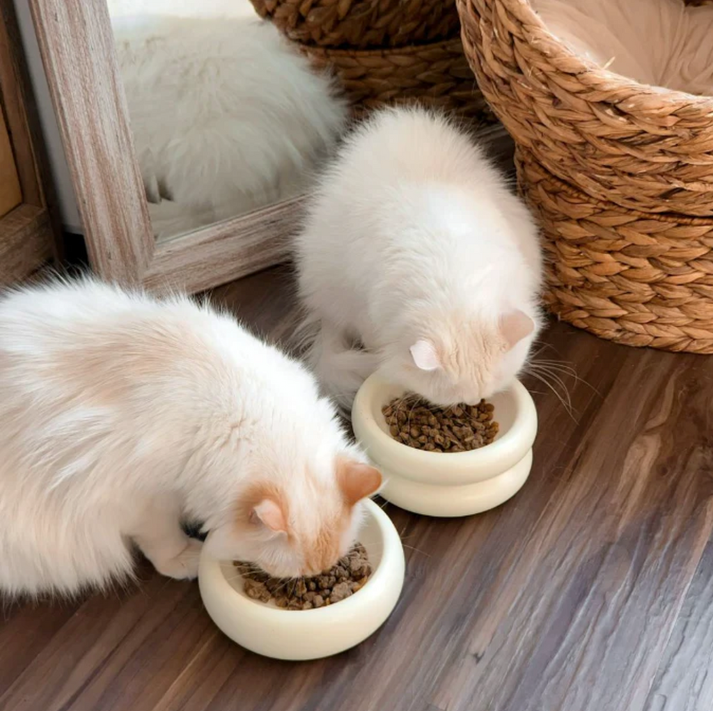 Dailypets Modern Ceramic Cat Bowl