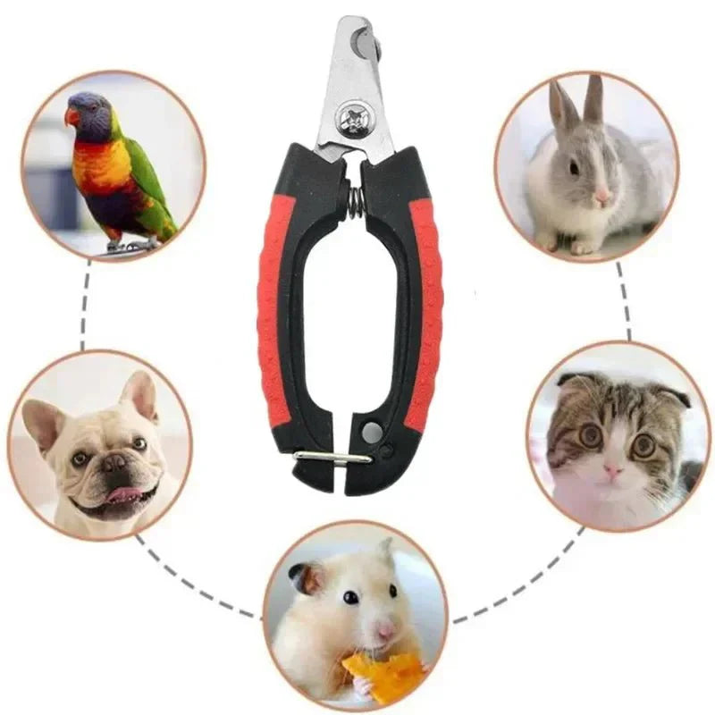 Dailypets Professional Pet Nail Clipper for Dogs and Cats with Stainless Steel Blades