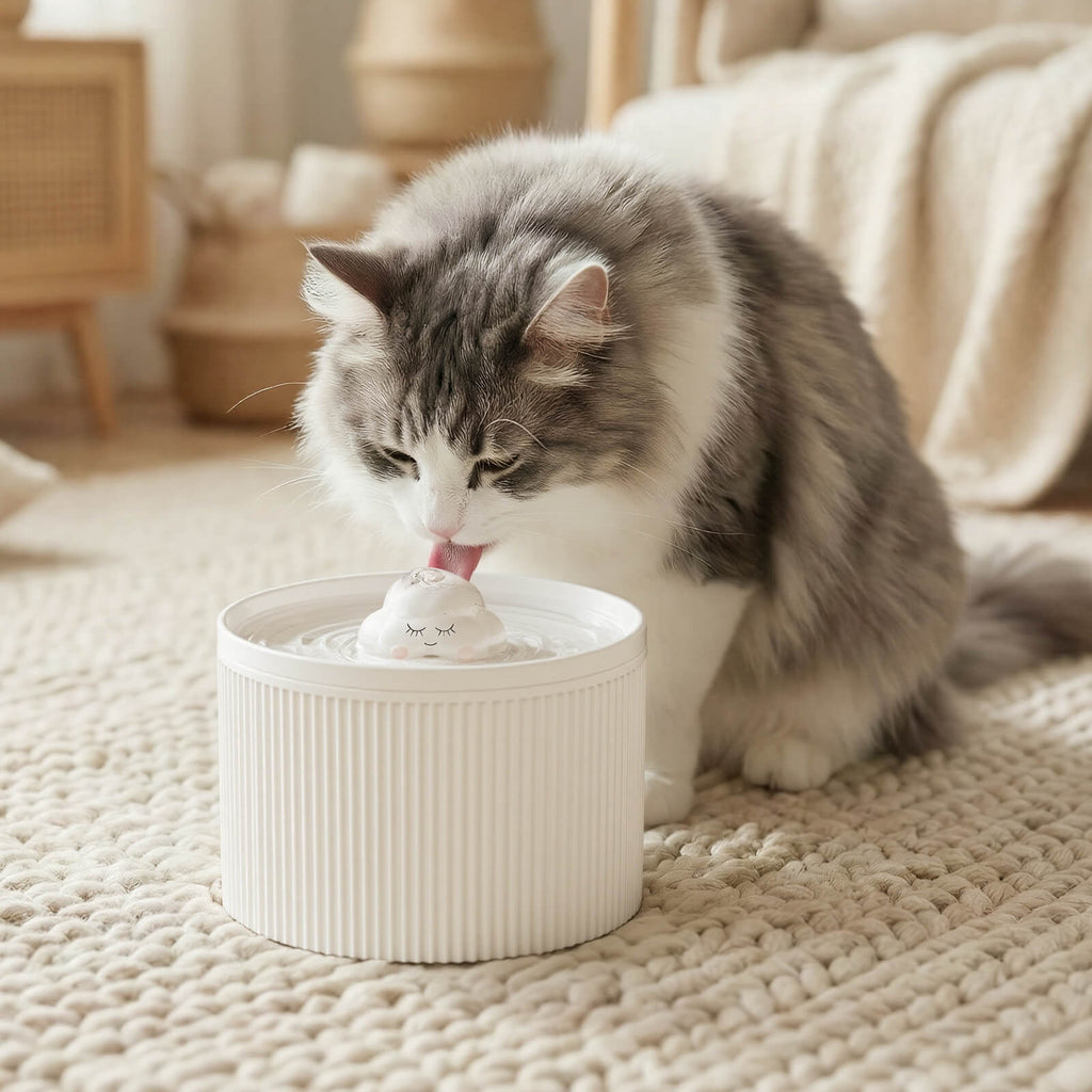 Dailypets Ceramic Cloud Cat Water Fountain 50oz with Quiet Water Flow