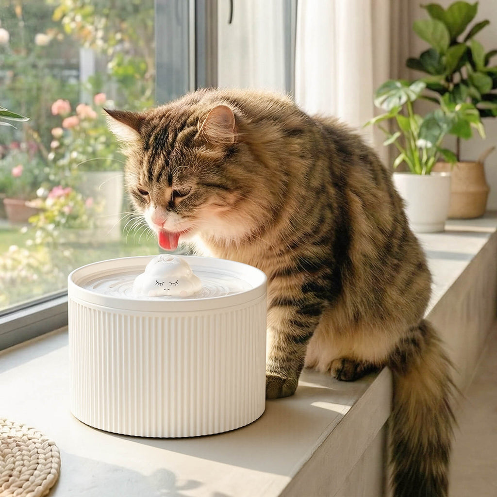 Dailypets Ceramic Cloud Cat Water Fountain 50oz with Quiet Water Flow