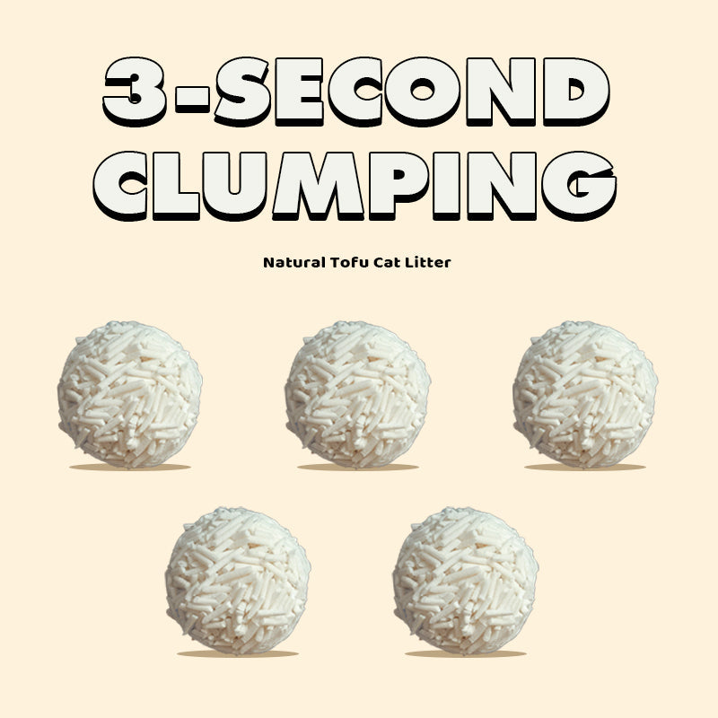 Dailypets Clumping Cat Litter 4 Bags for Odor Management