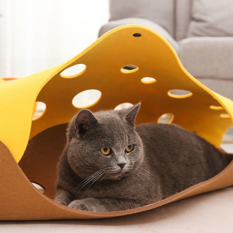 Dailypets Collapsible Felt Cat Tunnel, Colorful Play Tube for Indoor Cats