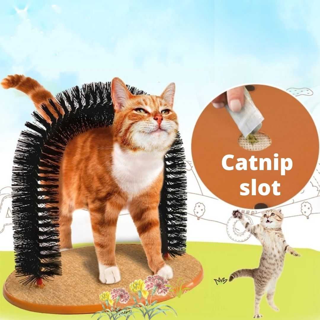 Dailypets Comfortable Arch Cat Massager – Self Grooming Brush with Scratch Pad