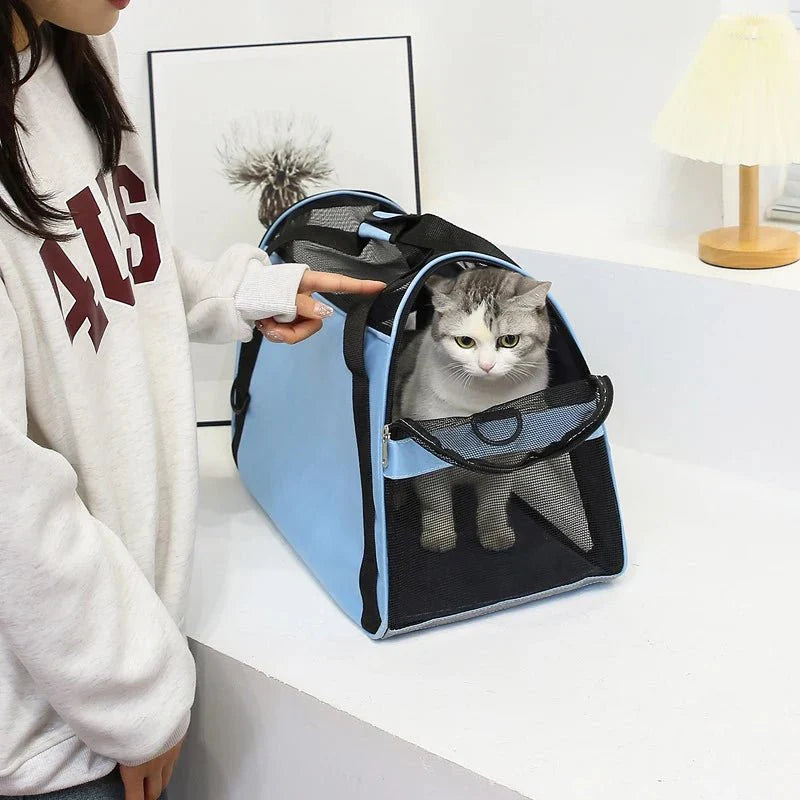 Dailypets Soft Pet Travel Carrier with Breathable Mesh Panels for Comfortable Journeys