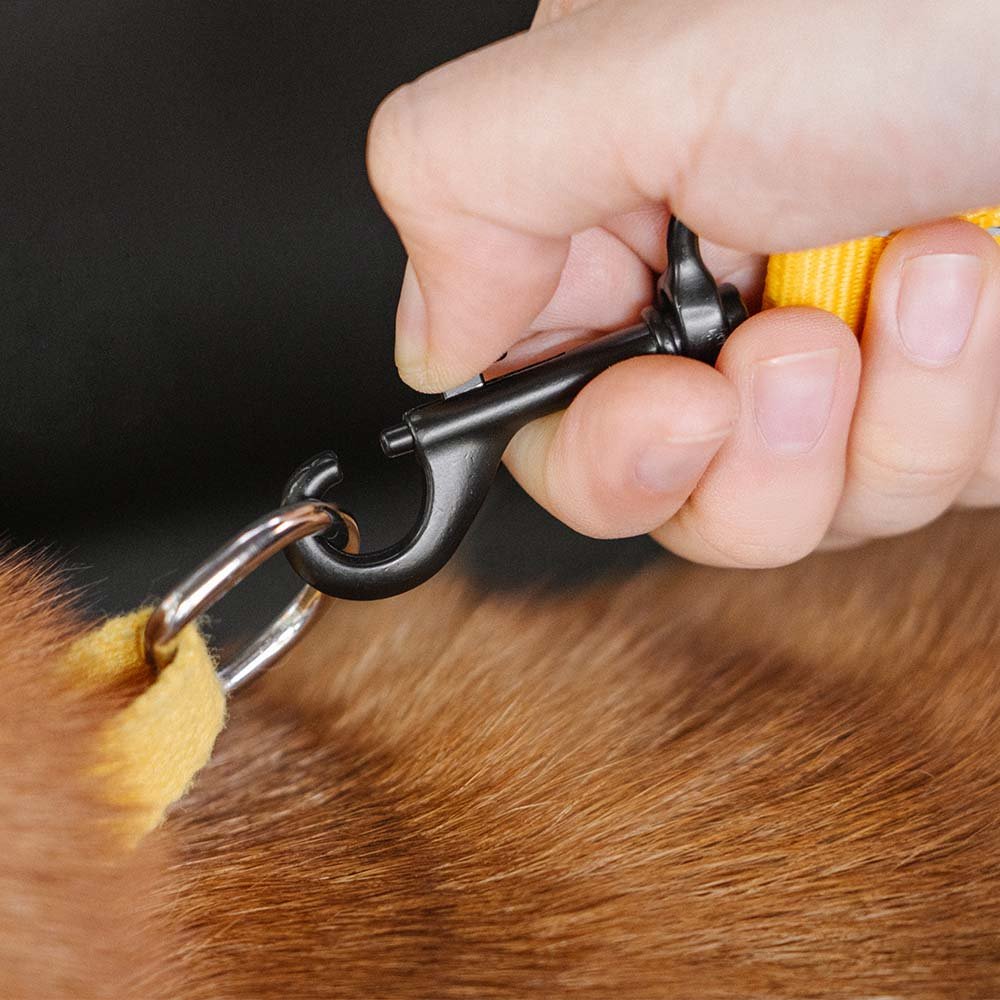 Dailypets Adjustable Dog Car Seat Belt with Reflective Bungee Design for Safe Travel
