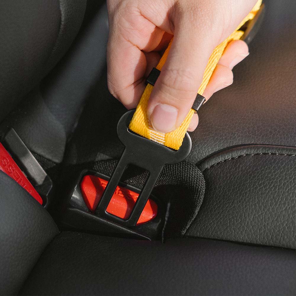 Dailypets Adjustable Dog Car Seat Belt with Reflective Bungee Design for Safe Travel