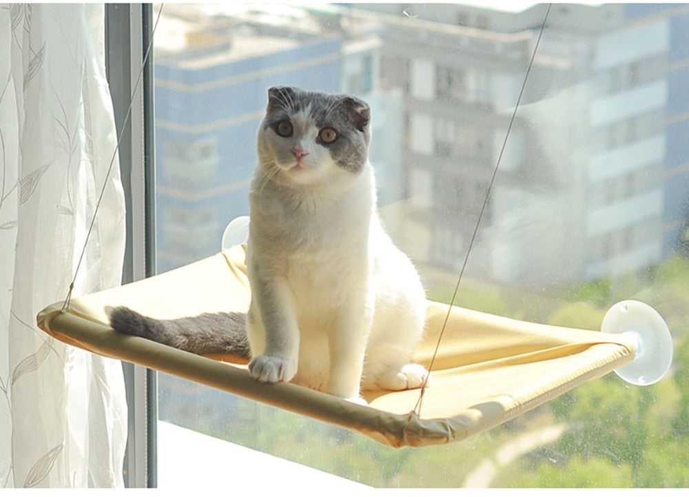 Dailypets Elevated Window Cat Bed with Suction Mount