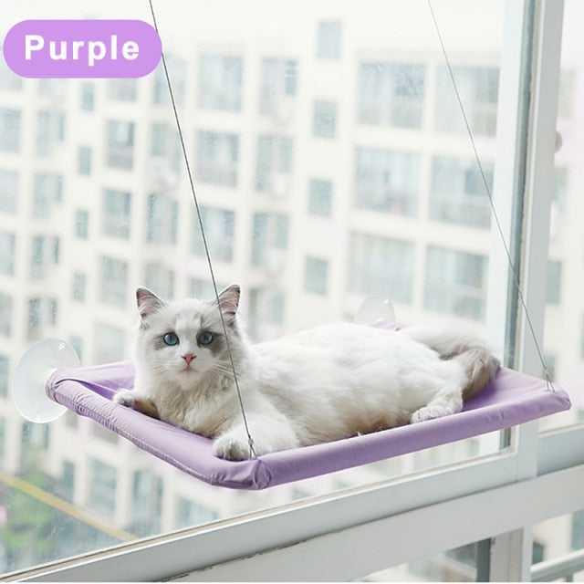Dailypets Elevated Window Cat Bed with Suction Mount