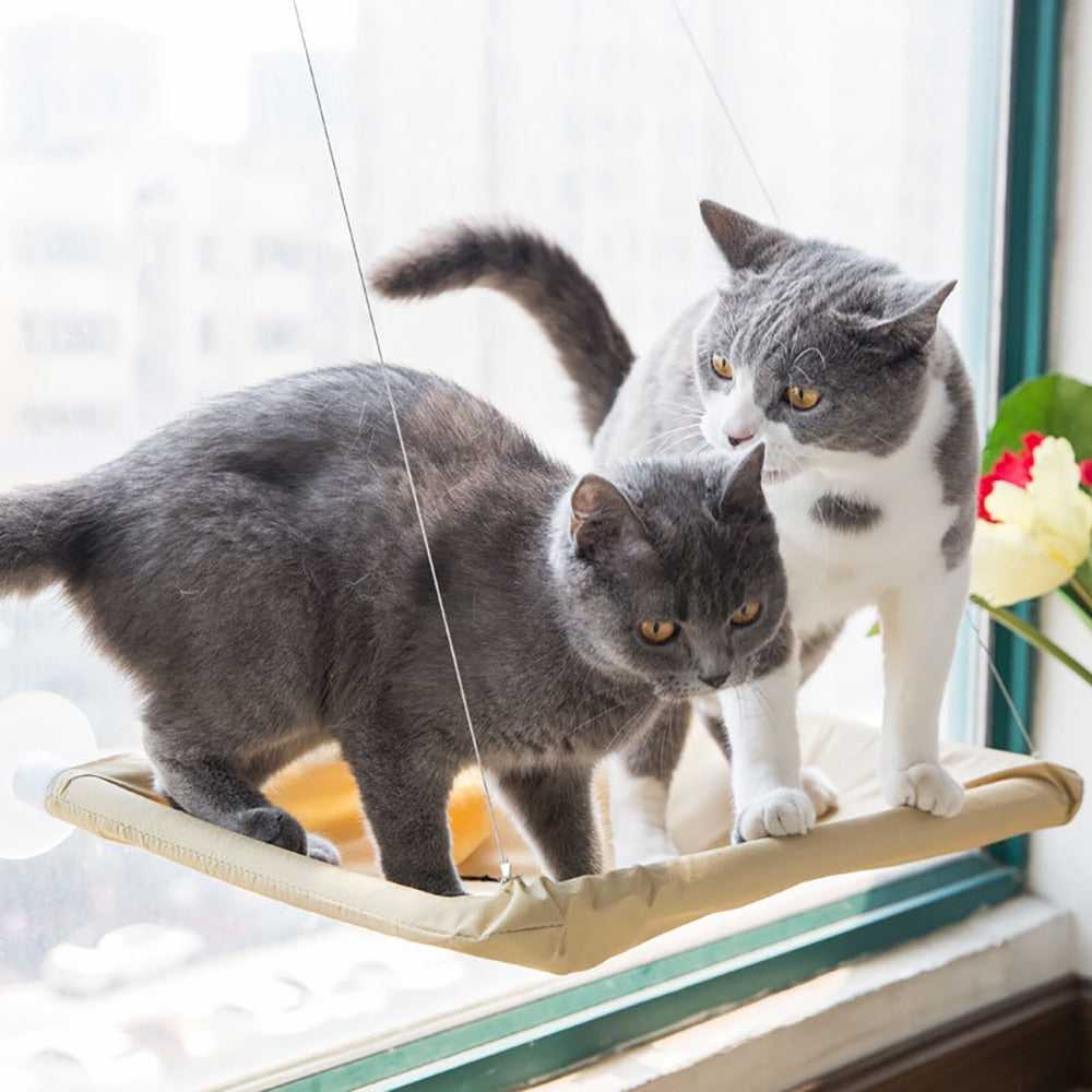 Dailypets Elevated Window Cat Bed with Suction Mount