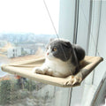 Dailypets Elevated Window Cat Bed with Suction Mount