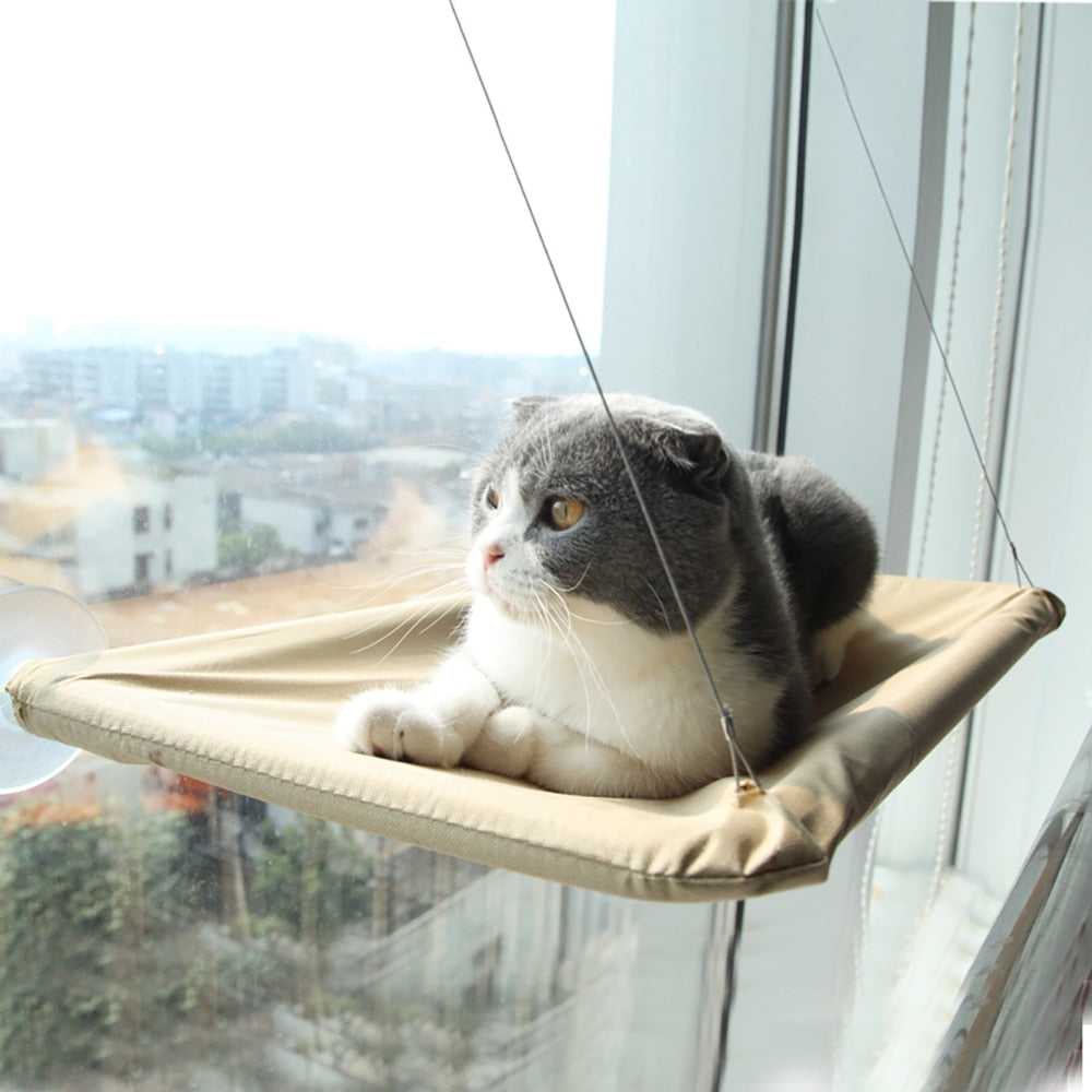 Dailypets Elevated Window Cat Bed with Suction Mount