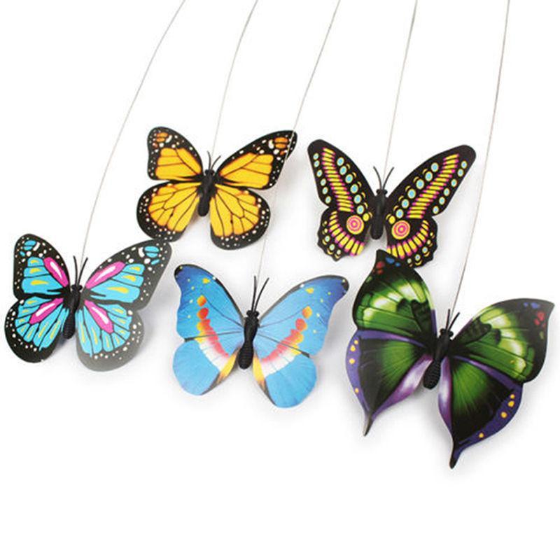 Dailypets Electric Cat Teaser Toy, Butterfly & Hummingbird Hunt Toy