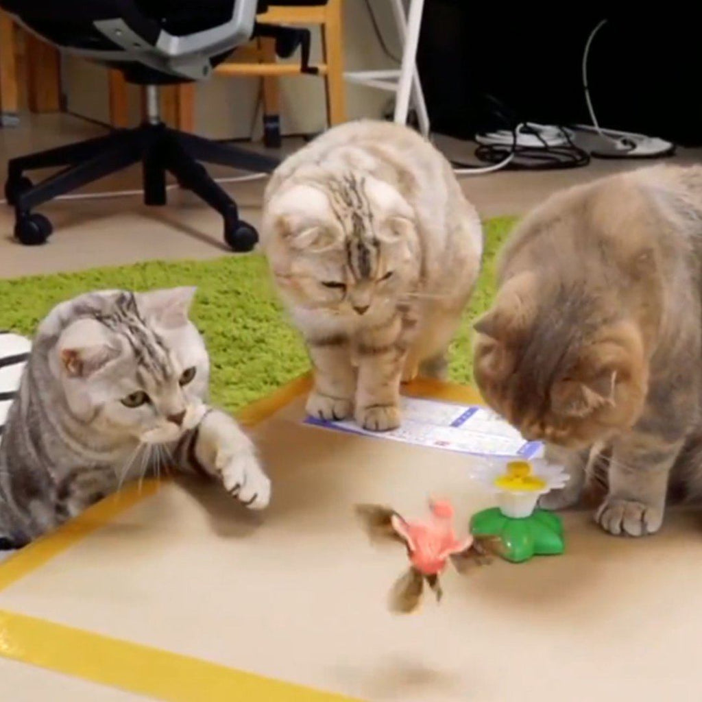 Dailypets Electric Cat Teaser Toy, Butterfly & Hummingbird Hunt Toy