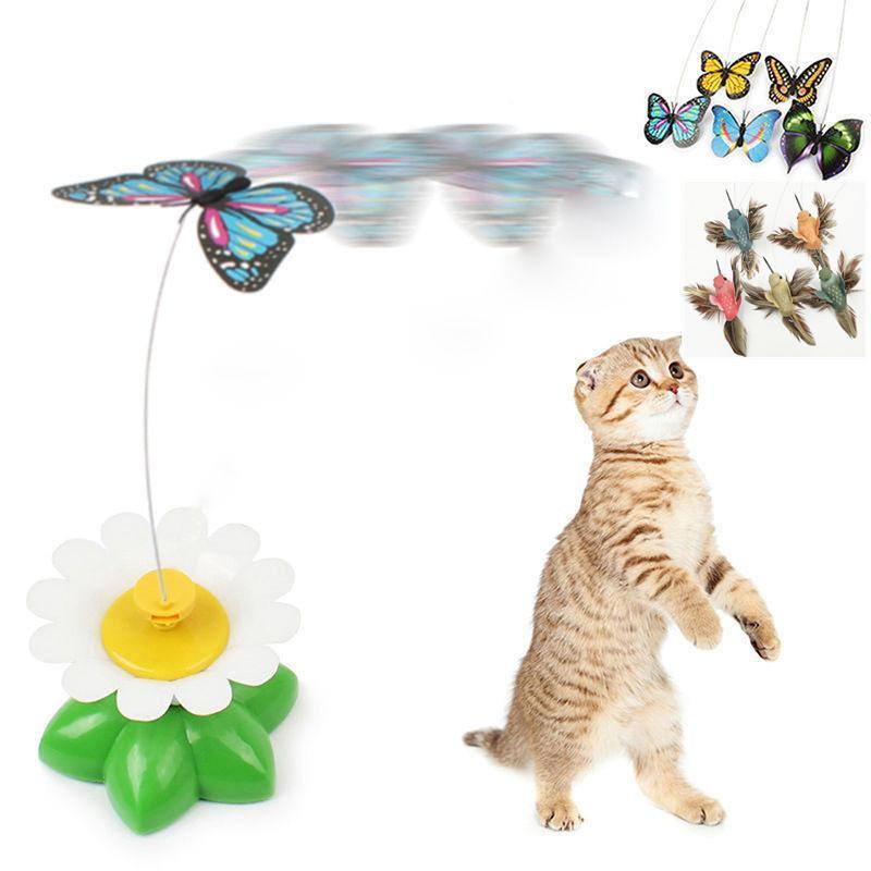 Dailypets Electric Cat Teaser Toy, Butterfly & Hummingbird Hunt Toy