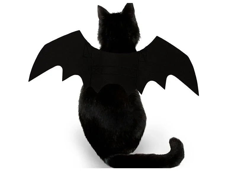 Dailypets Halloween Bat Wings for Cats with Lightweight Pet-Friendly Design