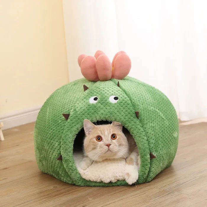 Dailypets Desert's Meow Cat Cave – Cute Plush Cactus Hideaway