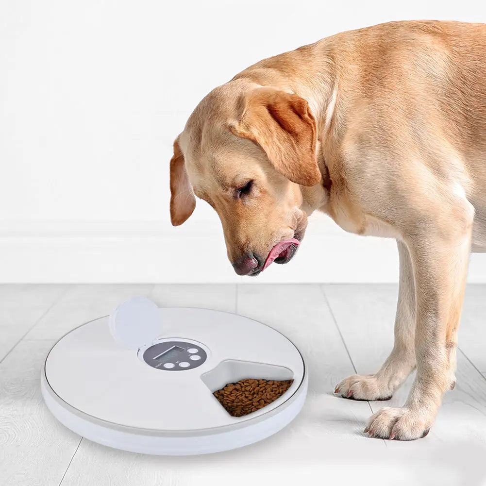 Dailypets Electronic Pet Feeder 6 Meal Rotating Food Tray Timer