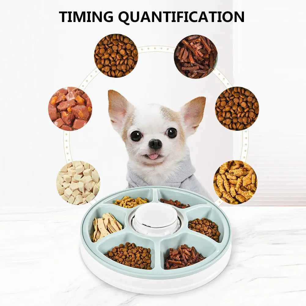 Dailypets Electronic Pet Feeder 6 Meal Rotating Food Tray Timer
